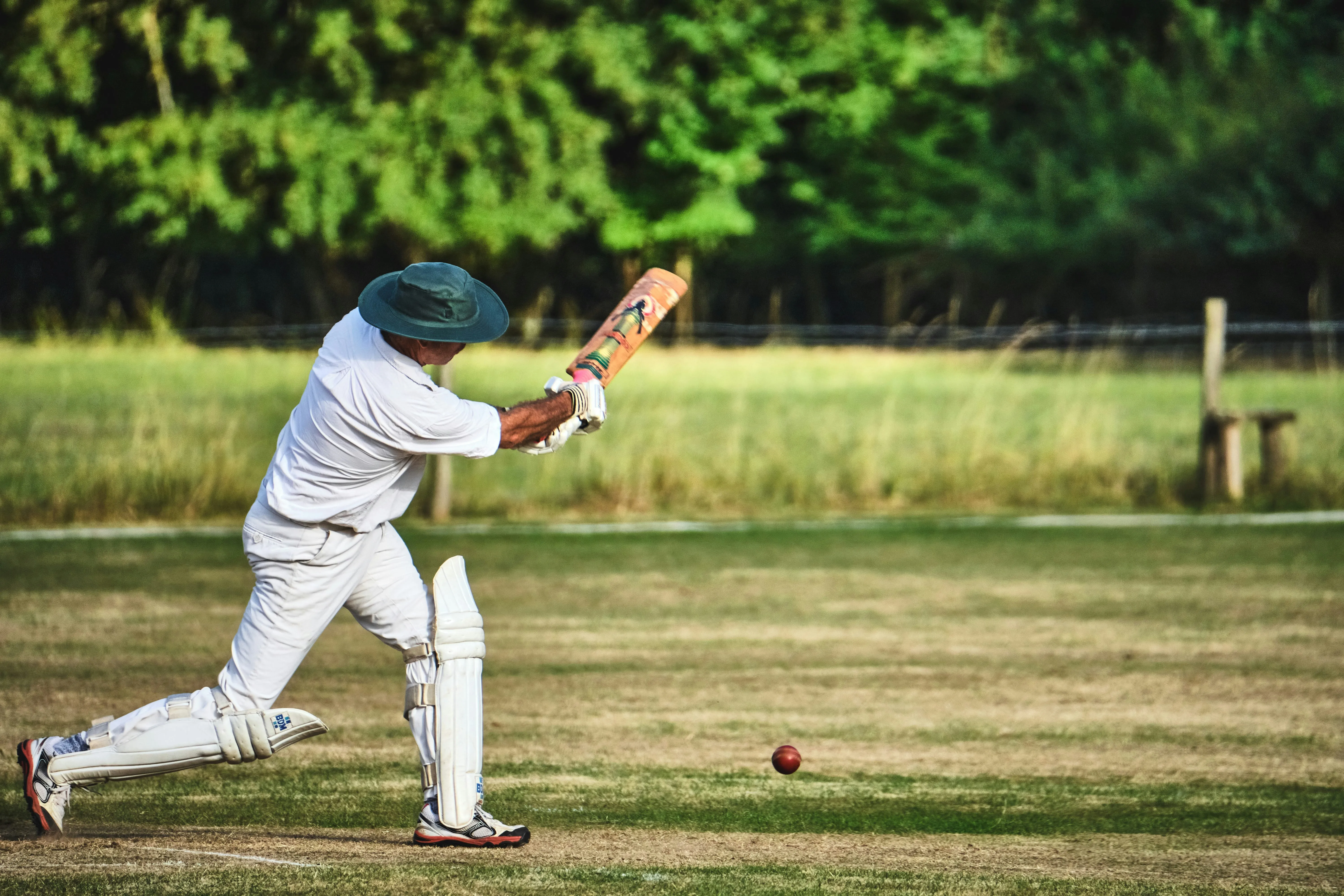 Cricket player